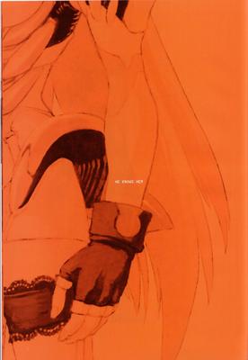 xsi_odm_014.jpg