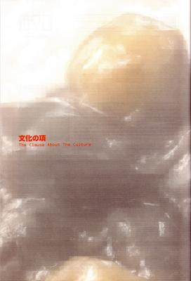xsi_odm_072.jpg