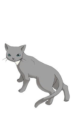 XenoComiSakurasCat.png