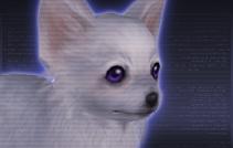 dtimg_0004.jpg