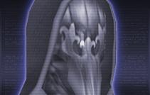 dtimg_0018.jpg