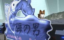 dtimg_0400.jpg
