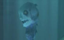 dtimg_1346.jpg