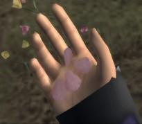 mcimg_7205.jpg