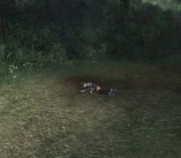 mcimg_8390.jpg