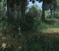 mcimg_8425.jpg