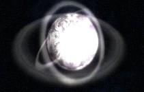 dtimg_1229.jpg