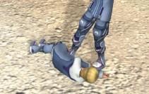 dtimg_1273.jpg